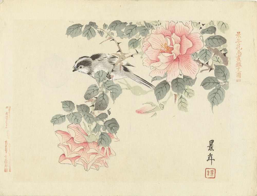 Zwart-wit vogeltje tussen roze rozen (1892) by Imao Keinen, Aoki Kôsaburô and Aoki Kôsaburô