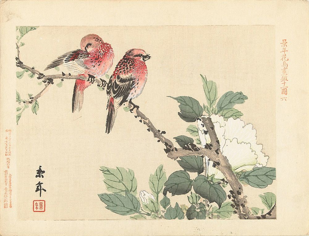 Twee rode vogels op tak met witte bloem (1892) by Imao Keinen, Aoki Kôsaburô and Aoki Kôsaburô