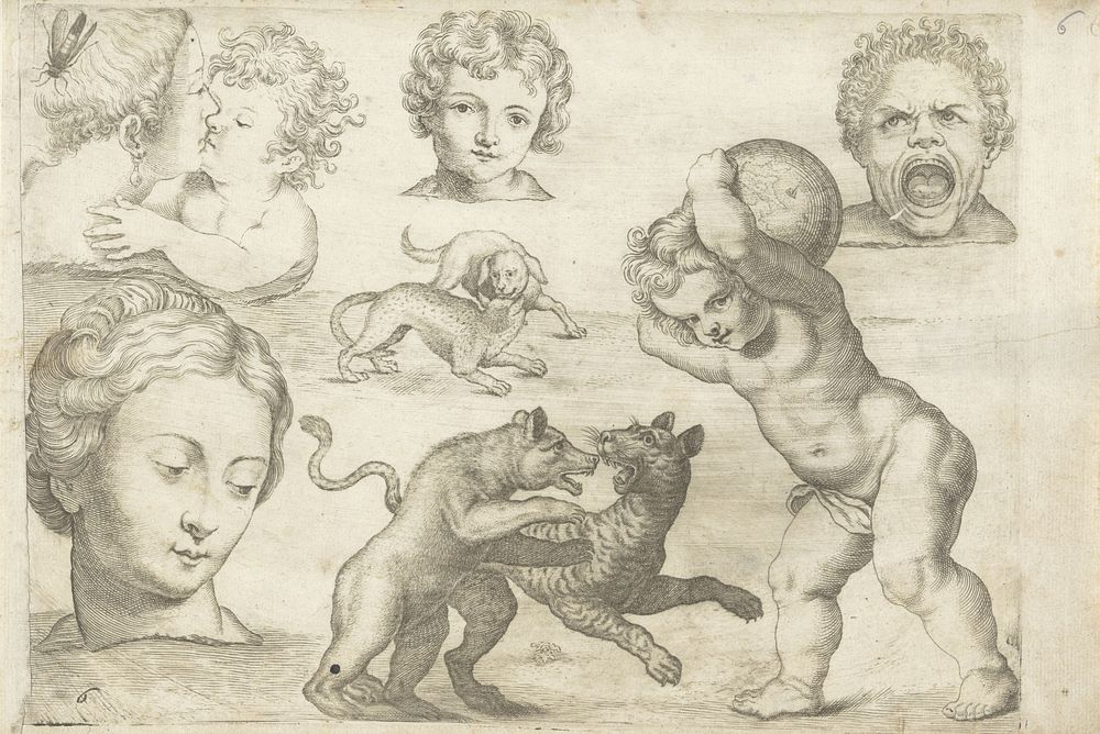 Studieblad met tekenvoorbeelden: koppen en vechtende dieren (1610 - 1672) by Michael Snijders and Michael Snijders