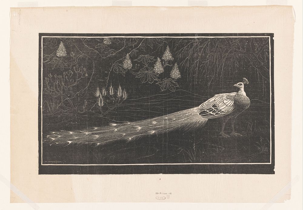 Pauw in landschap (1892 - 1940) by Henri Verstijnen