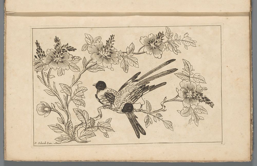 Twee vogels op een bloesemtak (1727 - 1775) by Pieter Schenk II, Pieter Schenk II and Pieter Schenk II