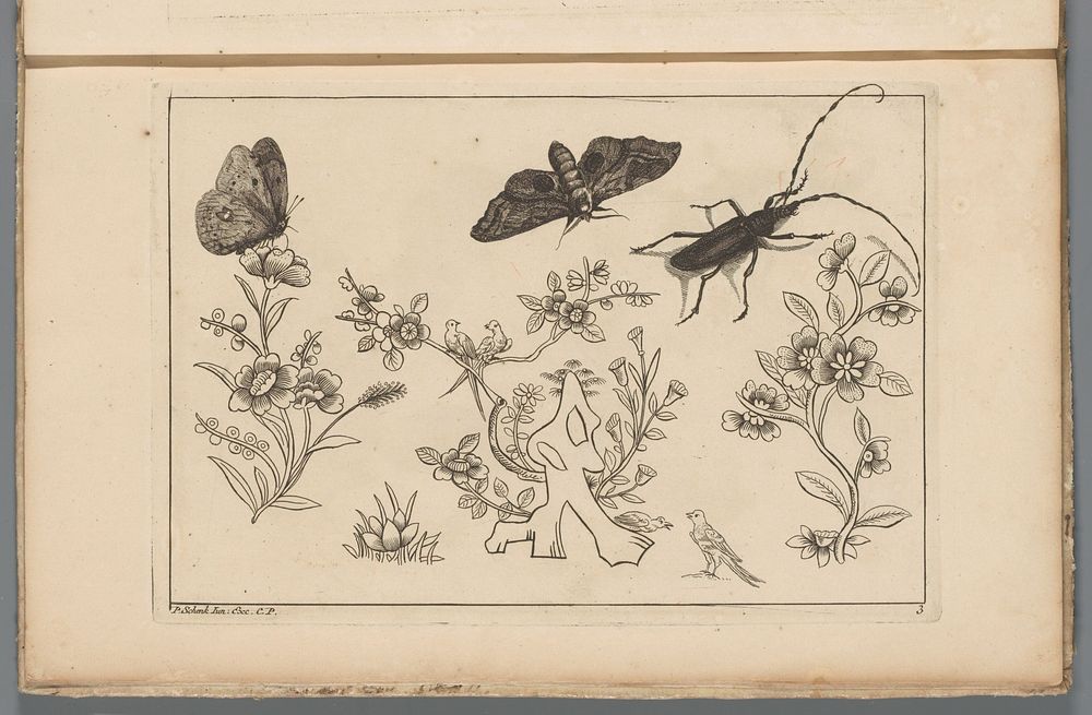 Drie bloementakken met vogels, vlinders en een insect (1727 - 1775) by Pieter Schenk II, Pieter Schenk II and Pieter Schenk…