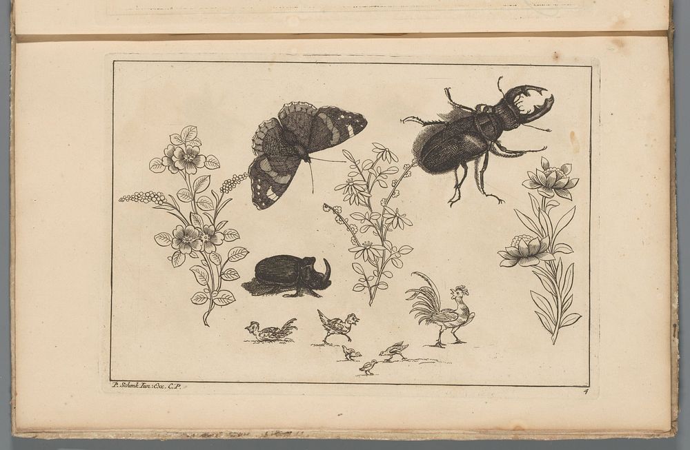 Drie bloementakken met neushoornkever, vlinder en tor (1727 - 1775) by Pieter Schenk II, Pieter Schenk II and Pieter Schenk…