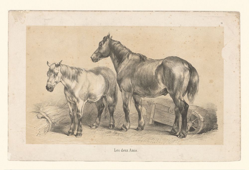 Twee staande paarden (1800 - 1899) by anonymous