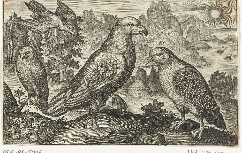 Arend en andere roofvogels (1594 - 1644) by anonymous, Nicolaes de Bruyn and Claes Jansz Visscher II