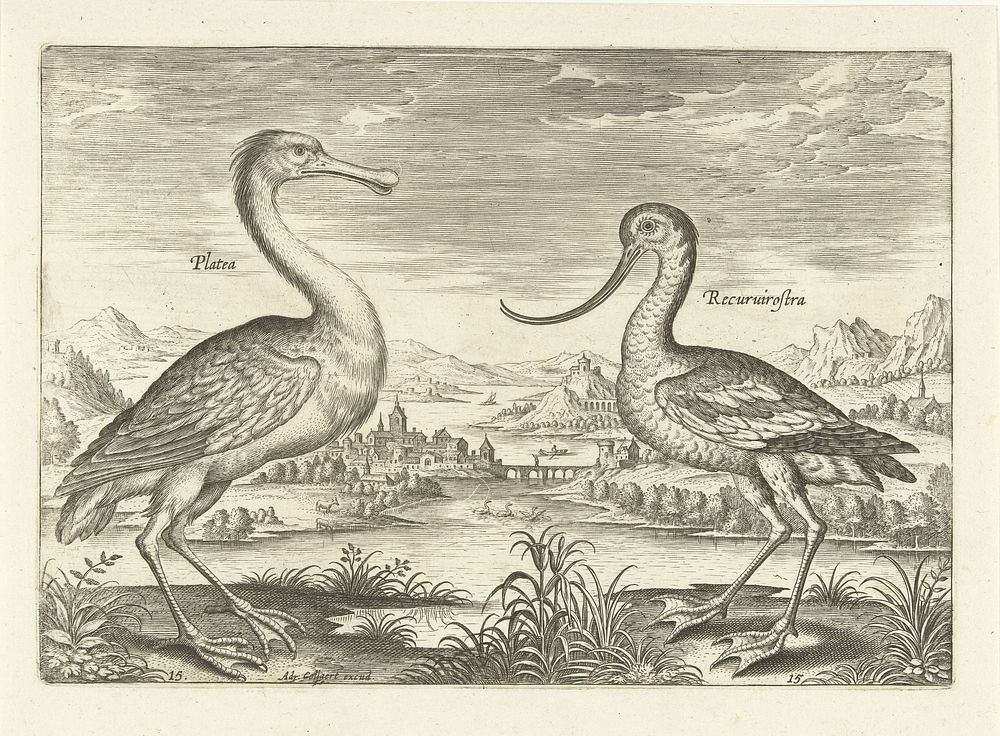 Twee waadvogels in een rivierlandschap (1598 - 1618) by Adriaen Collaert, Adriaen Collaert and Theodoor Galle
