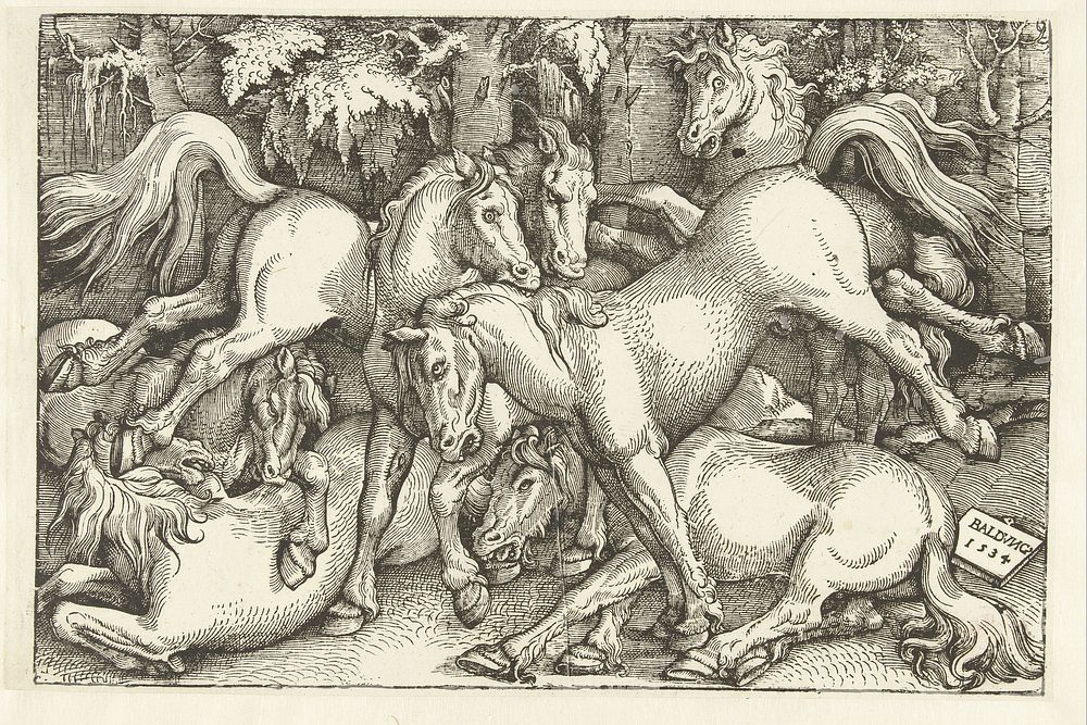 Groep van zeven vechtende paarden (1534) by Hans Baldung Grien