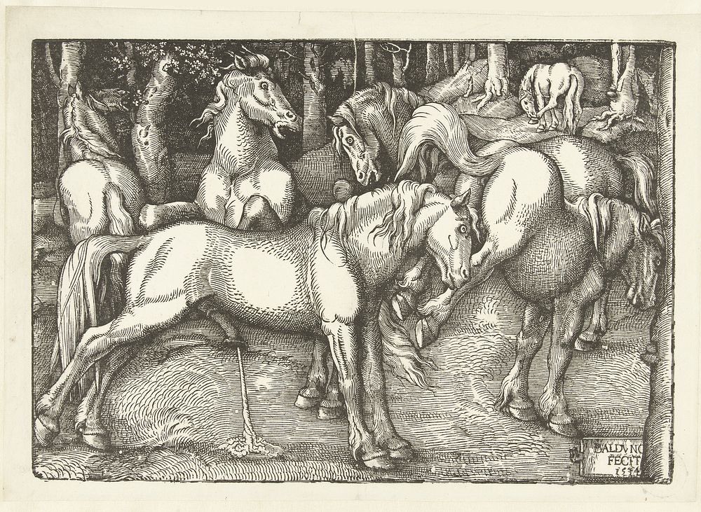 Groep van zes vechtende paarden (1534) by Hans Baldung Grien