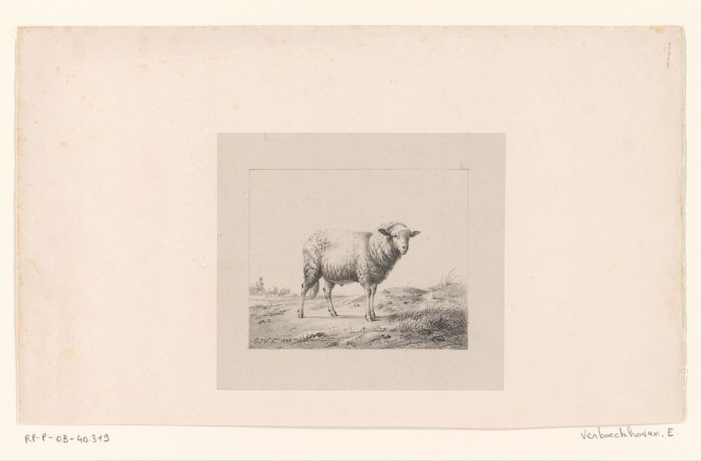 Schaap in een weiland (1828) by Eugène Verboeckhoven and Eugène Verboeckhoven