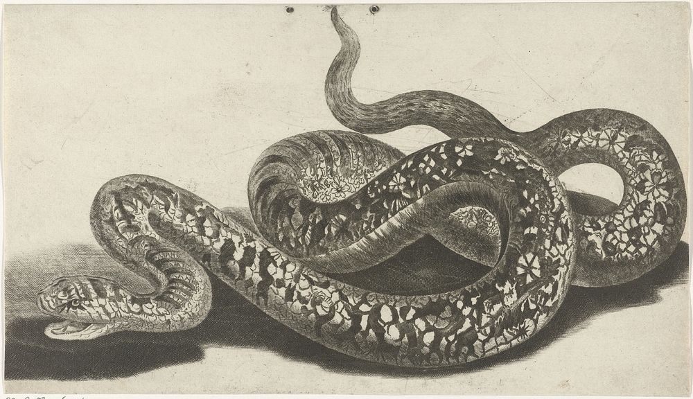 Slang (1685 - 1697) by Johan Teyler and Jacob l Admiral II