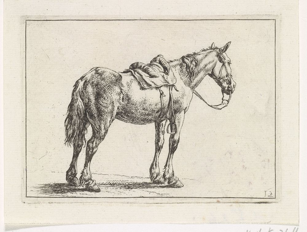 Rijpaard naar rechts (1710 - 1717) by Dirk Maas, Philips Wouwerman and Bernard Picart