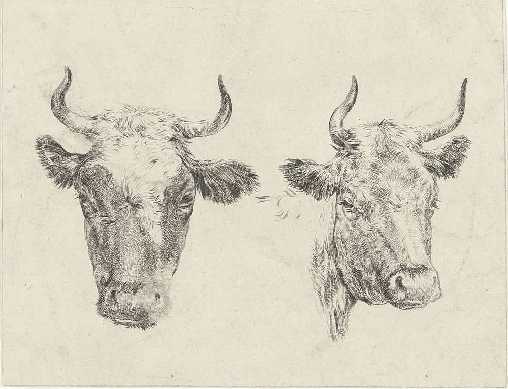 Twee koeienkoppen (1821 - 1869) by Christiaan Godfried Schutze van Houten