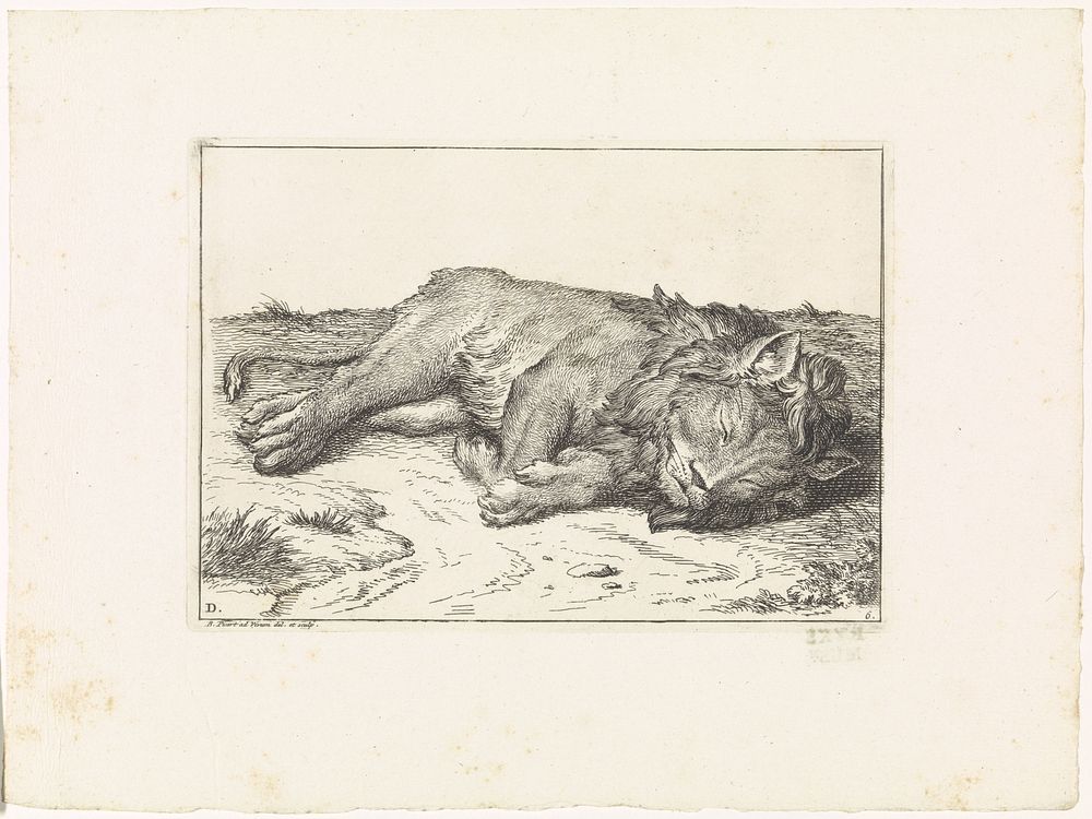 Slapende leeuw (1729) by Bernard Picart, Bernard Picart and Bernard Picart