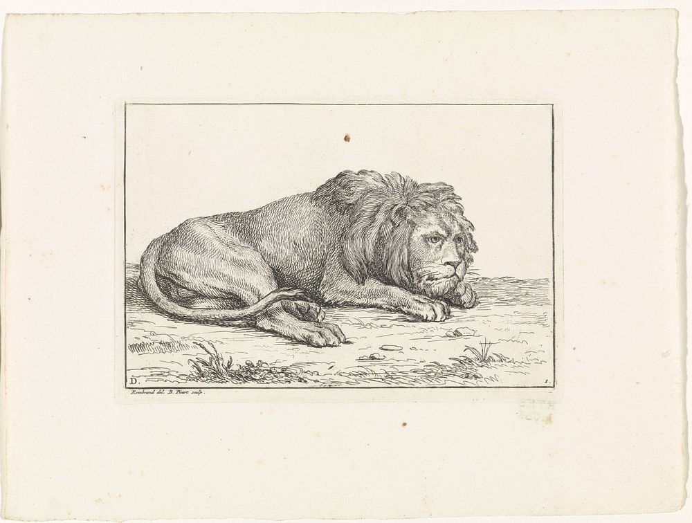 Liggende leeuw (1729) by Bernard Picart, Rembrandt van Rijn and Bernard Picart