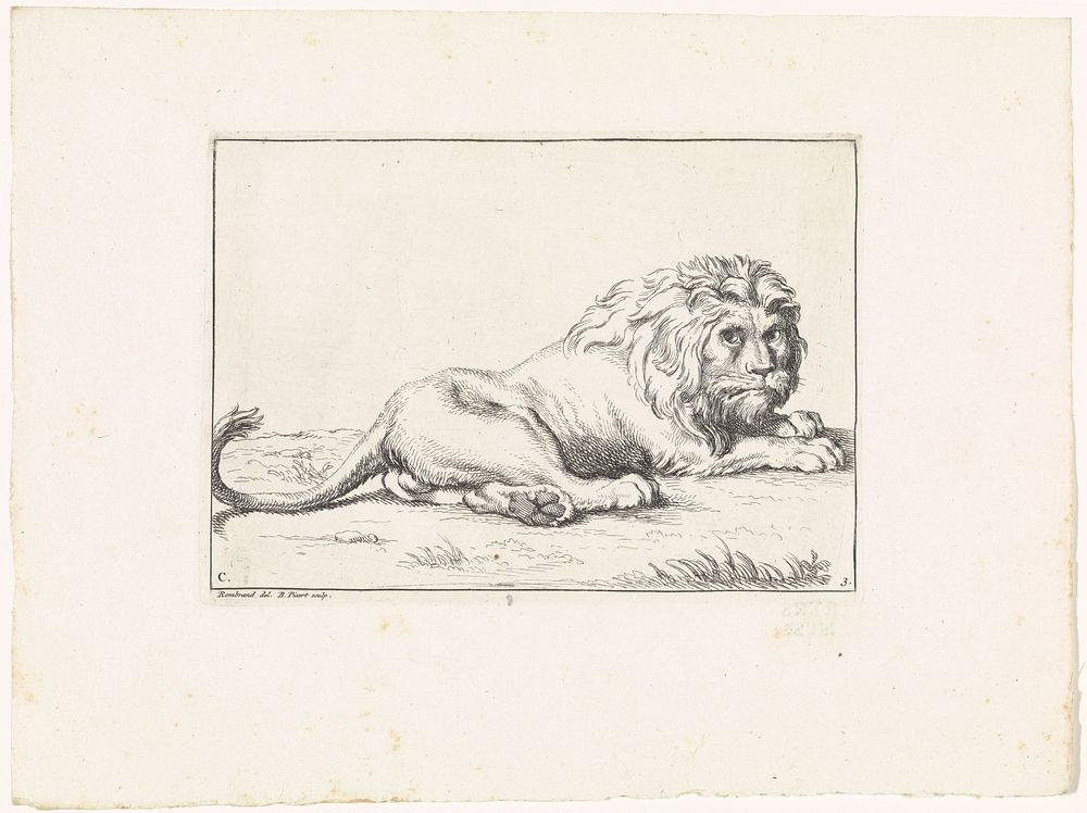 Leeuw op het gras (1729) by Bernard Picart, Rembrandt van Rijn and Bernard Picart