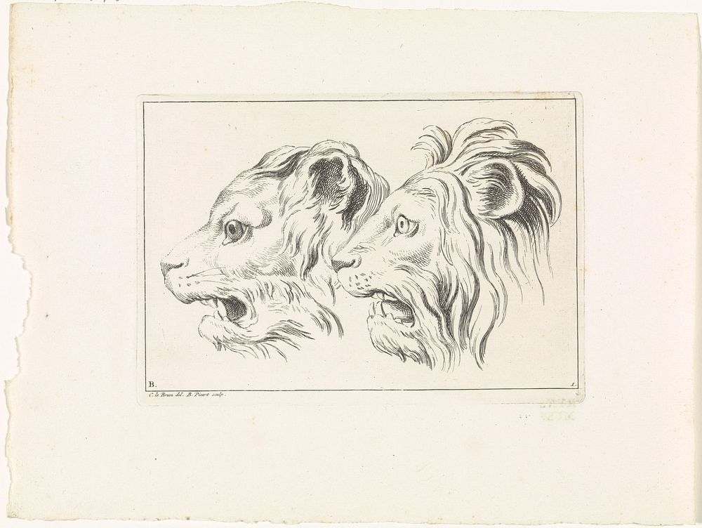 Twee leeuwenkoppen, in profiel (1729) by Bernard Picart, Charles Le Brun and Bernard Picart