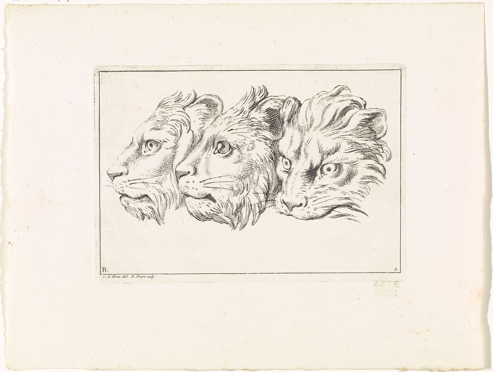 Drie leeuwenkoppen (1729) by Bernard Picart, Charles Le Brun and Bernard Picart
