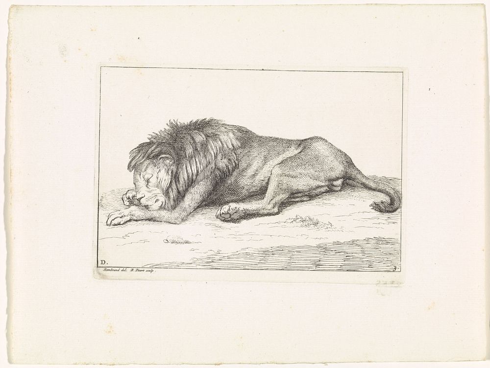 Slapende leeuw (1729) by Bernard Picart, Rembrandt van Rijn and Bernard Picart
