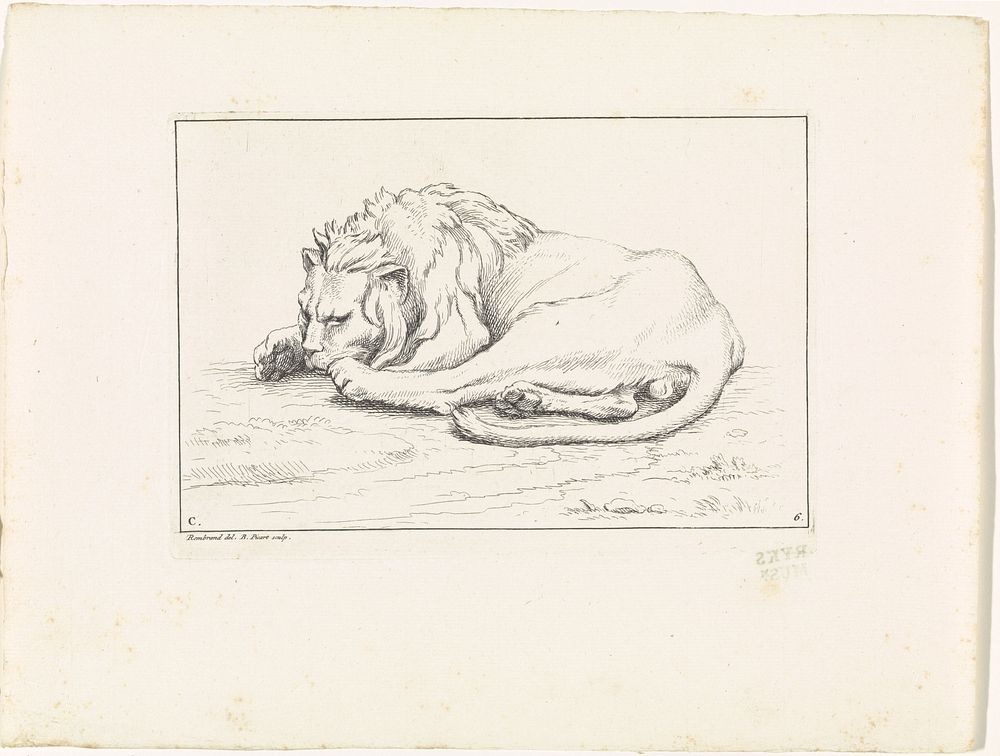 Leeuw op het gras (1729) by Bernard Picart, Rembrandt van Rijn and Bernard Picart