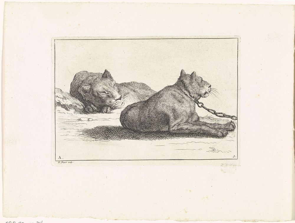 Twee liggende leeuwen (1729) by Bernard Picart and Bernard Picart