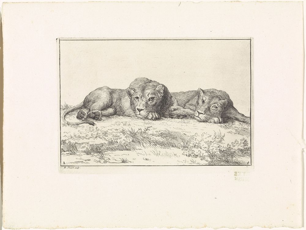 Landschap met twee leeuwen (1729) by Bernard Picart and Bernard Picart