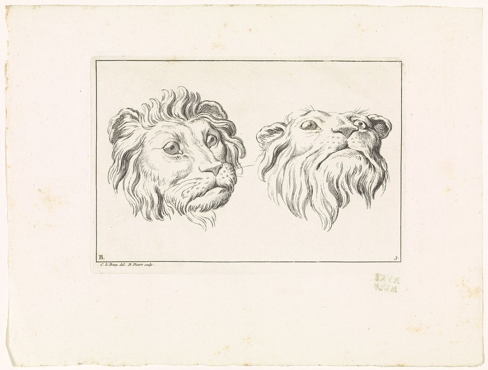 Leeuwen- en leeuwinnenkop (1729) by Bernard Picart, Charles Le Brun and Bernard Picart