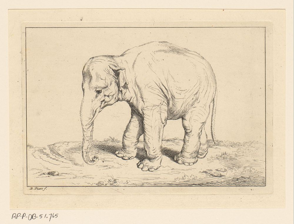 Landschap met olifant (1683 - 1733) by Bernard Picart