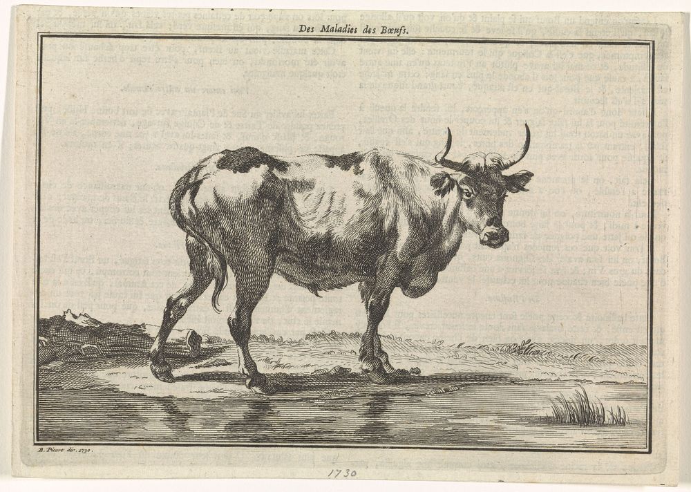 Landschap met koe (1730) by Bernard Picart and Bernard Picart