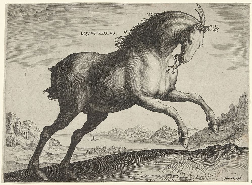 Paard van het ras Equus Regius (de Koninklijke) (c. 1578 - c. 1582) by Hieronymus Wierix, Jan van der Straet and Philips…