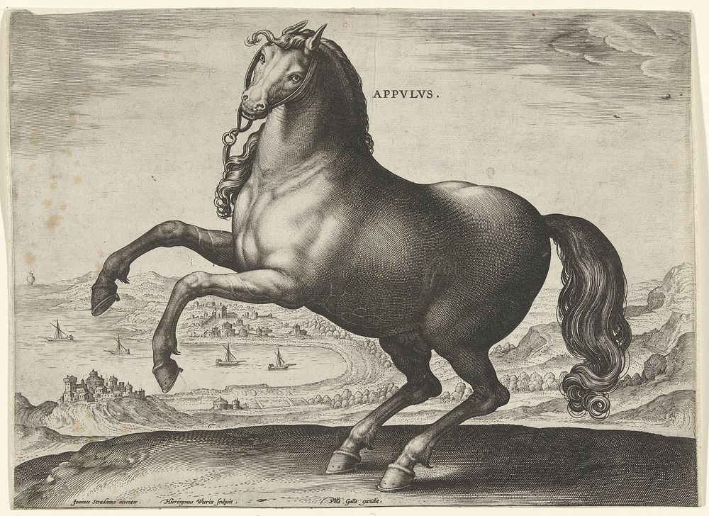 Paard uit Zuid-Italië (Appulus) (c. 1578 - c. 1582) by Hieronymus Wierix, Jan van der Straet and Philips Galle