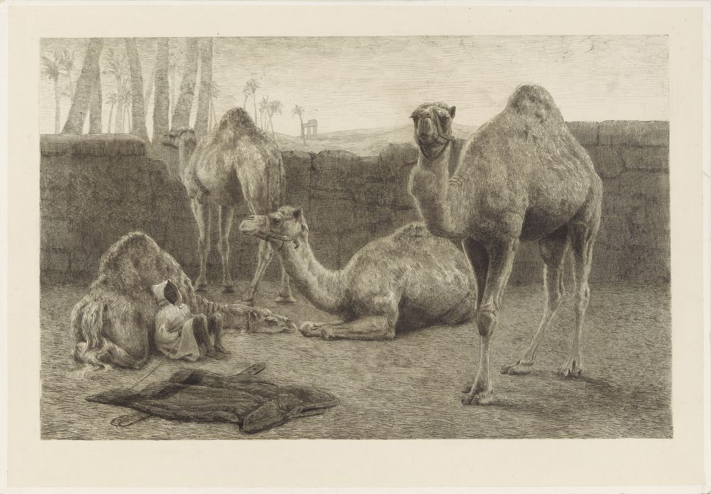 Kamelen (1886) by August Le Gras
