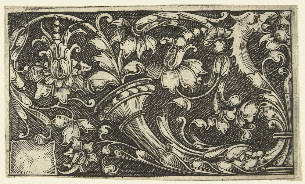 Bladranken uit een hoorn (c. 1500 - c. 1600) by anonymous, anonymous and anonymous