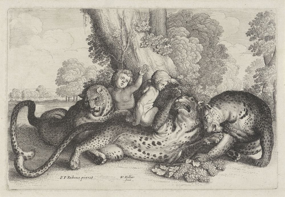 Drie luipaarden en twee jongetjes (1644 - 1652) by Wenceslaus Hollar and Peter Paul Rubens