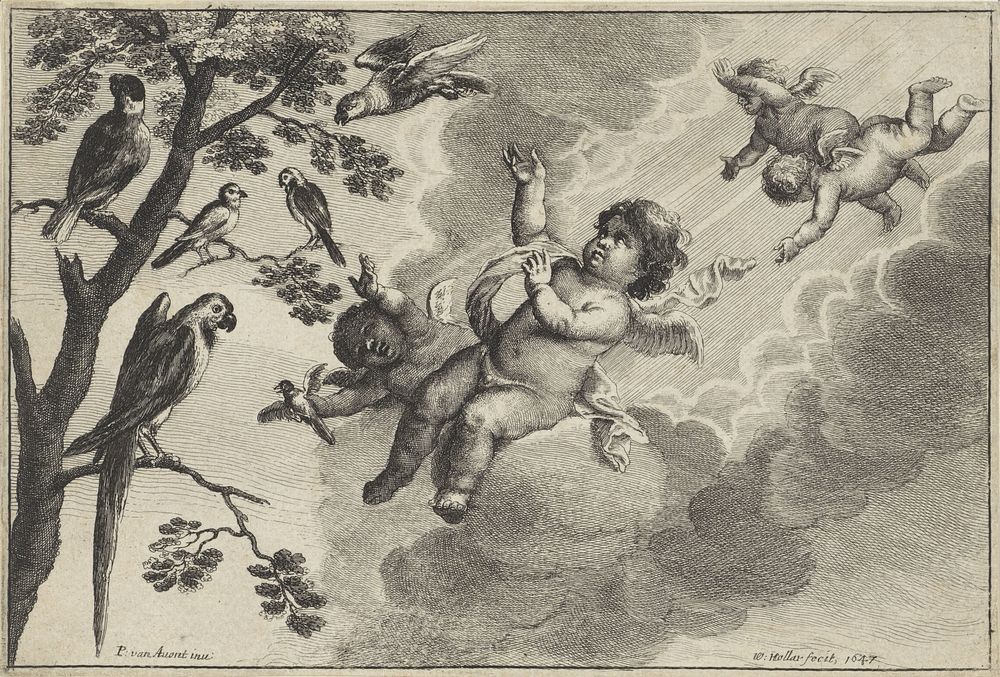 Putti met tropische vogels: het element Lucht (1647) by Wenceslaus Hollar and Pieter van Avont