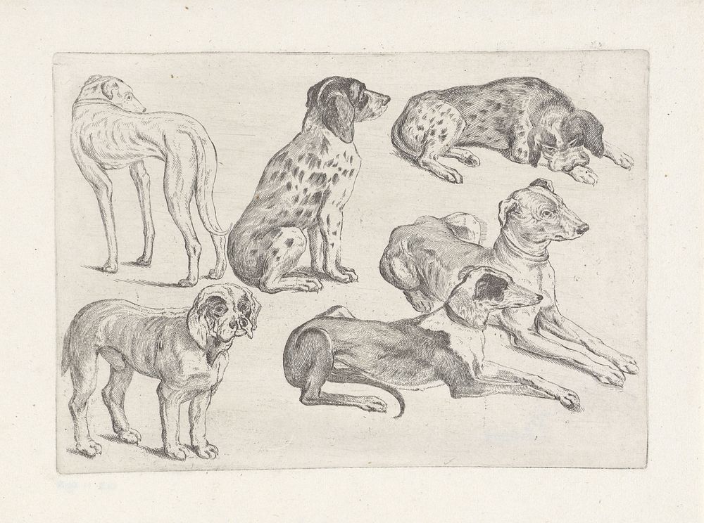 Zes jachthonden (1646 - 1647) by Wenceslaus Hollar
