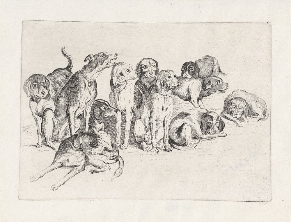 Elf jachthonden (1646 - 1647) by Wenceslaus Hollar