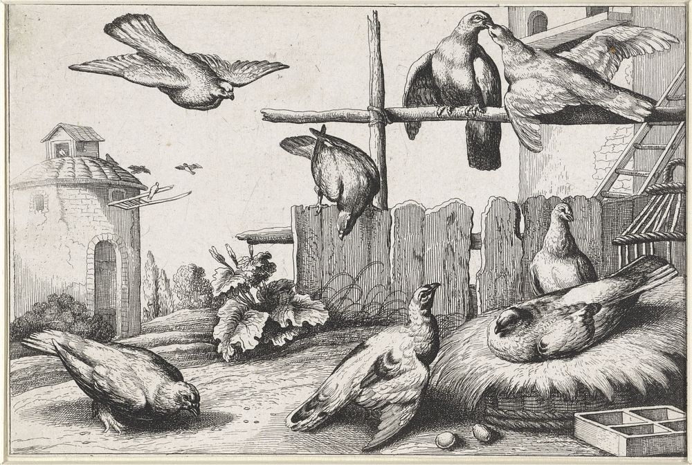Duiven bij een duiventil (1654 - 1712) by anonymous, Wenceslaus Hollar and Francis Barlow