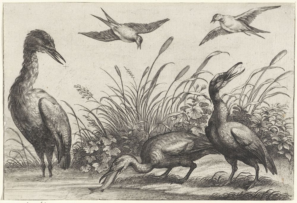 Reigers en zwaluwen (1654 - 1750) by anonymous, Wenceslaus Hollar and Francis Barlow