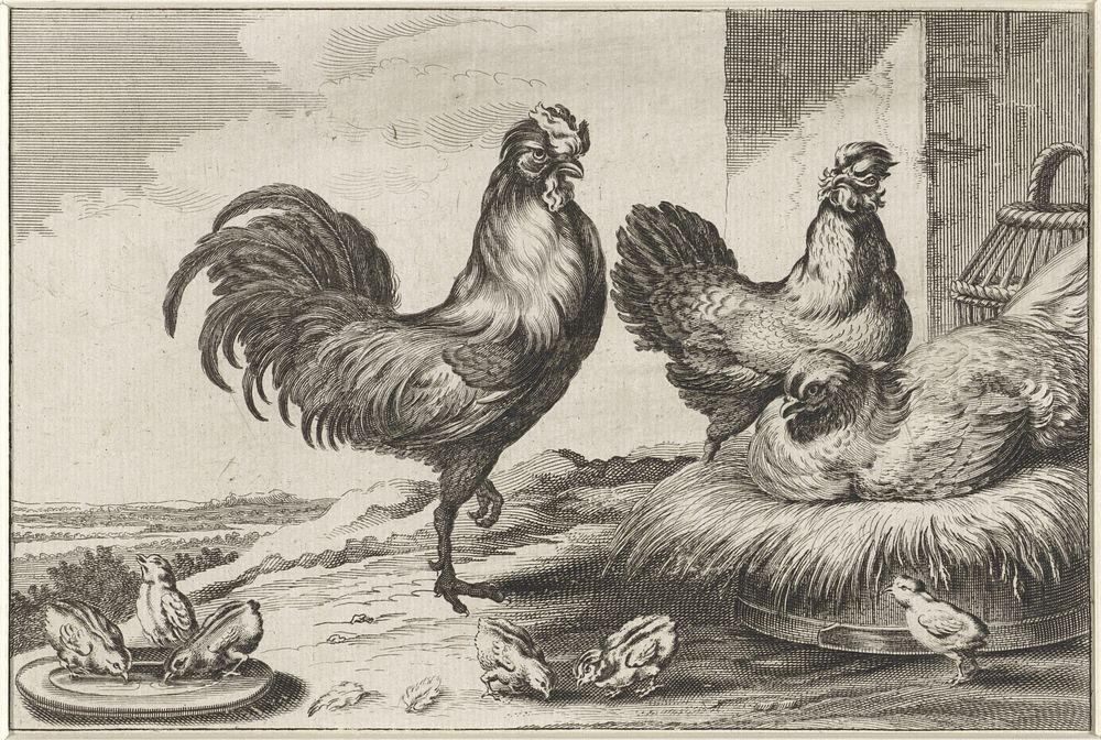 Kip, hanen en kuikens (1654 - 1712) by anonymous, Wenceslaus Hollar and Francis Barlow