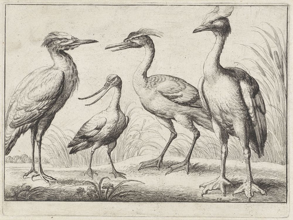 Vier waadvogels (1654) by Wenceslaus Hollar and Francis Barlow