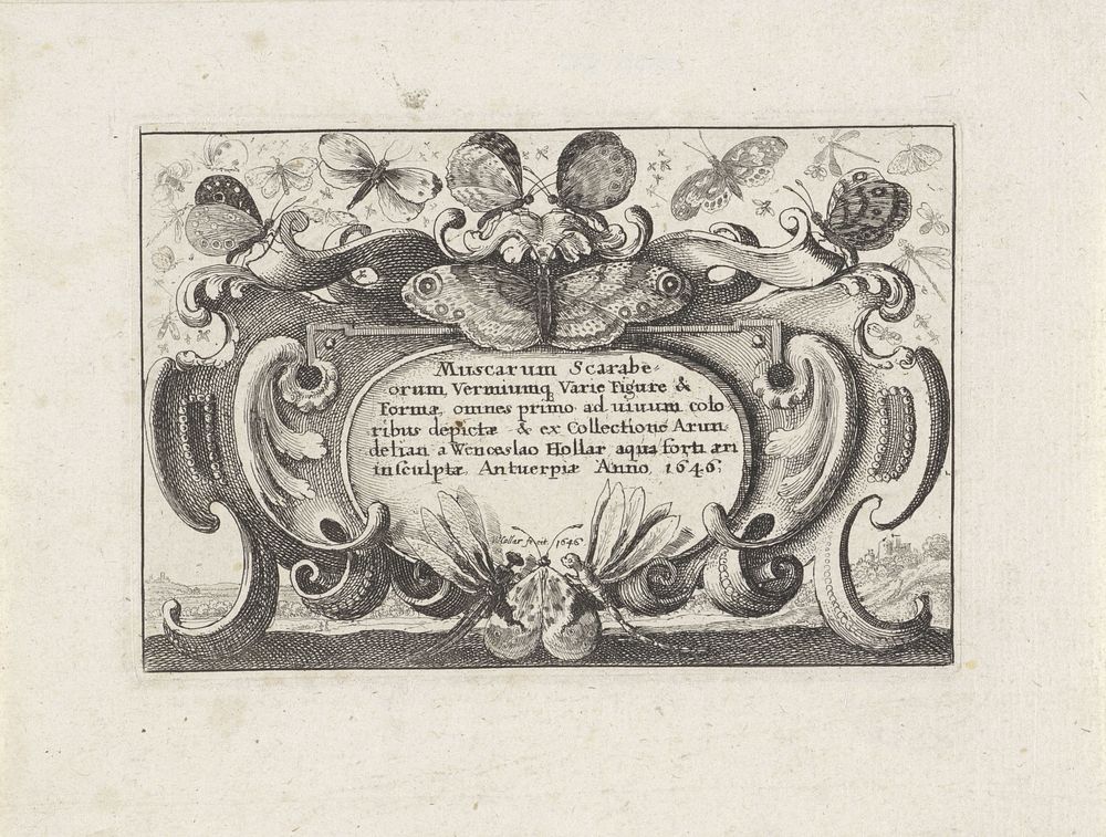 Titelprent in cartouche voor een serie met verschillende insecten (1646) by Wenceslaus Hollar