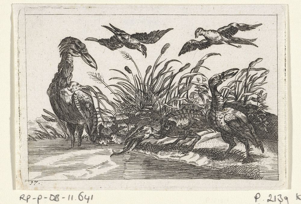 Reigers en zwaluwen (1654 - 1712) by anonymous, Wenceslaus Hollar and Francis Barlow
