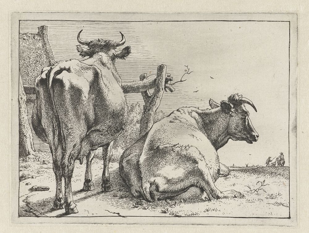 Twee koeien van achteren gezien (1650) by Paulus Potter, Paulus Potter and Paulus Potter