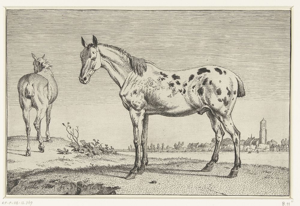 Het gecoupeerde paard (1652) by Paulus Potter and Paulus Potter