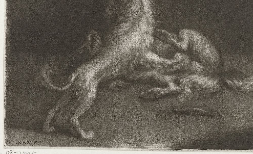 Twee spelende honden (1683 - 1746) by Nicolaas Verkolje