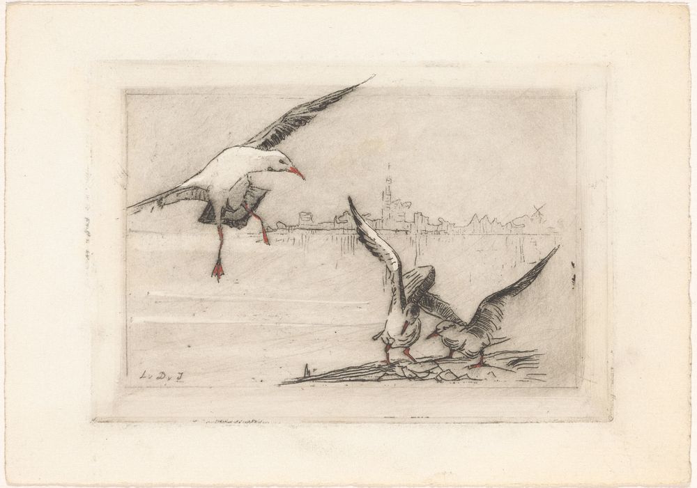 Zeemeeuwen bij het water (1881 - 1949) by Lucie van Dam van Isselt
