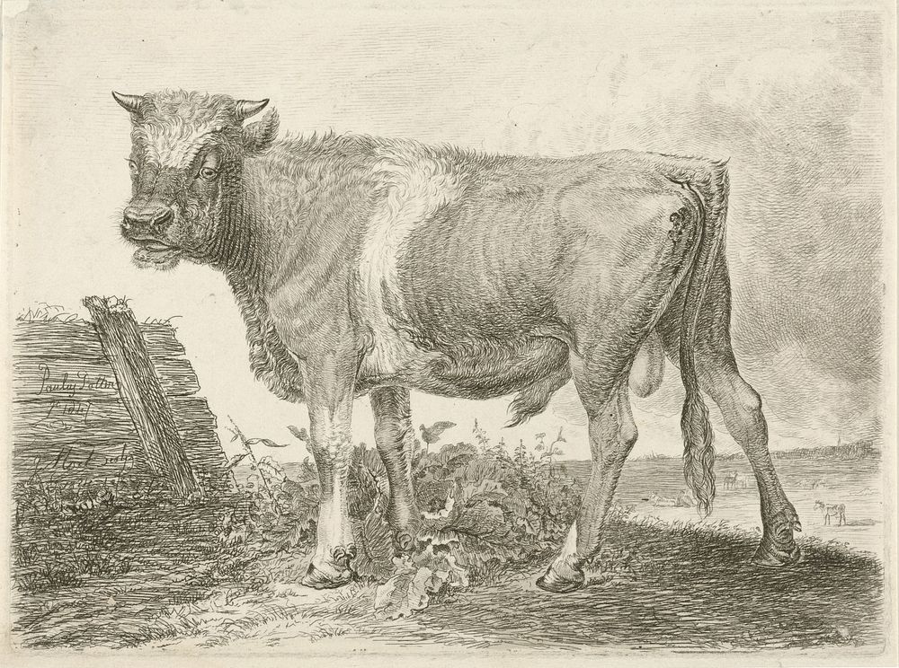 Stier (1824) by Johannes Mock and Paulus Potter