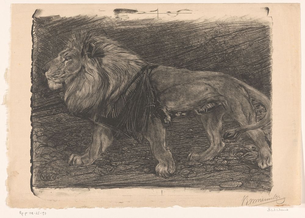 Lopende leeuw (1904) by Bernard Willem Wierink