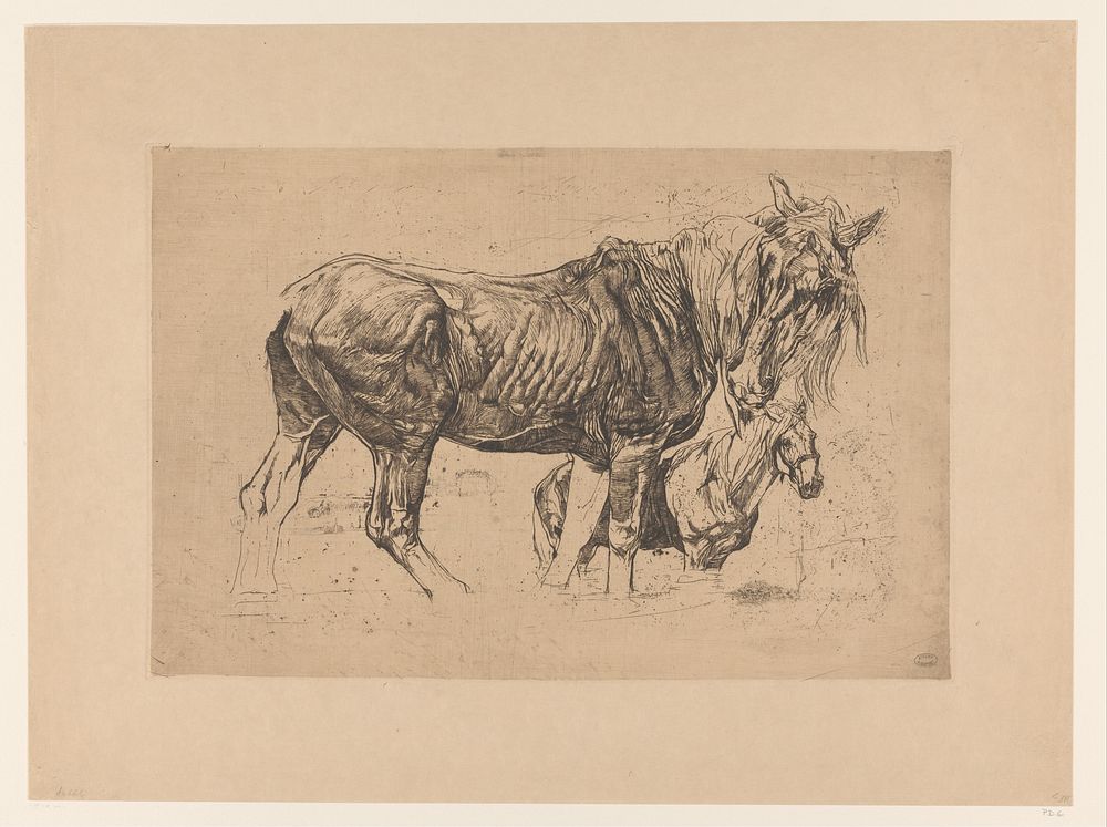Twee paarden (in or after 1911) by Pieter Dupont
