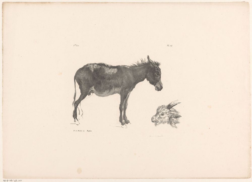 Ezel en ramskop (1820 - 1833) by Roelof van der Meulen, Nicolaes Pietersz Berchem and Jean Augustin Daiwaille